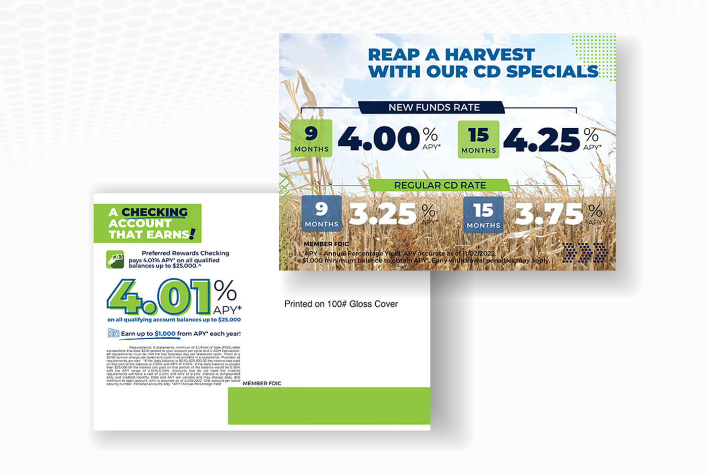 CD Printed Mailer Mockup